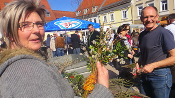 Palmbuschen Hauptplatz tn